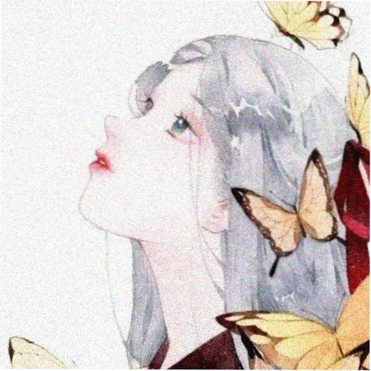 书友 山海不夜 的头像